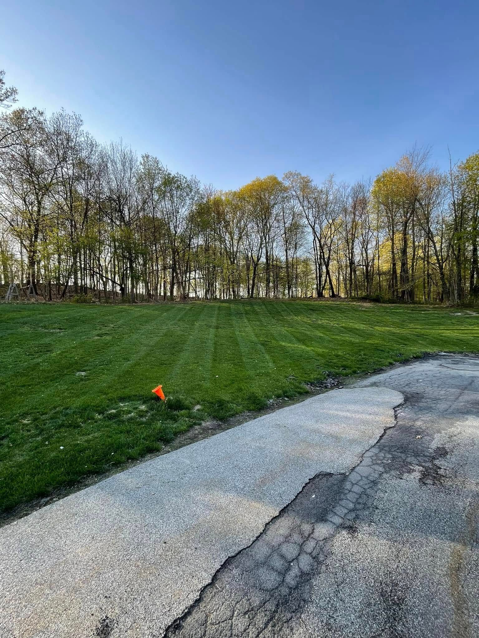 Grassy park edge beside a cracked paved path under a blue sky, with trees in the background