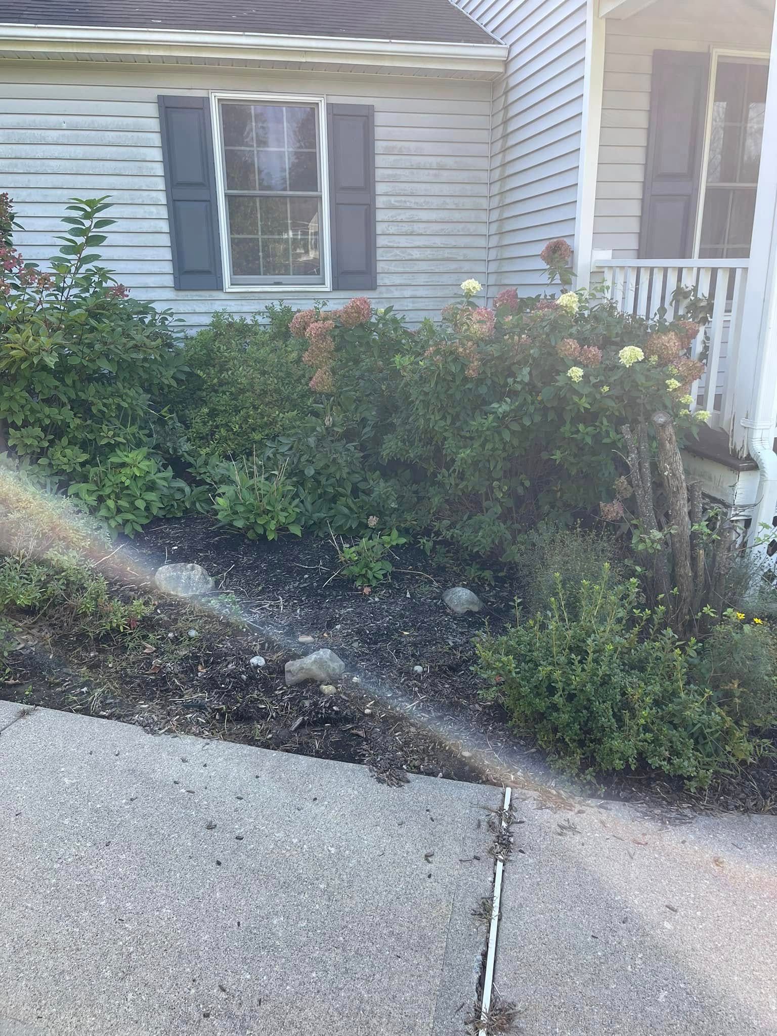 Front yard shrub bed beside a white house, with a concrete driveway and sun glare.