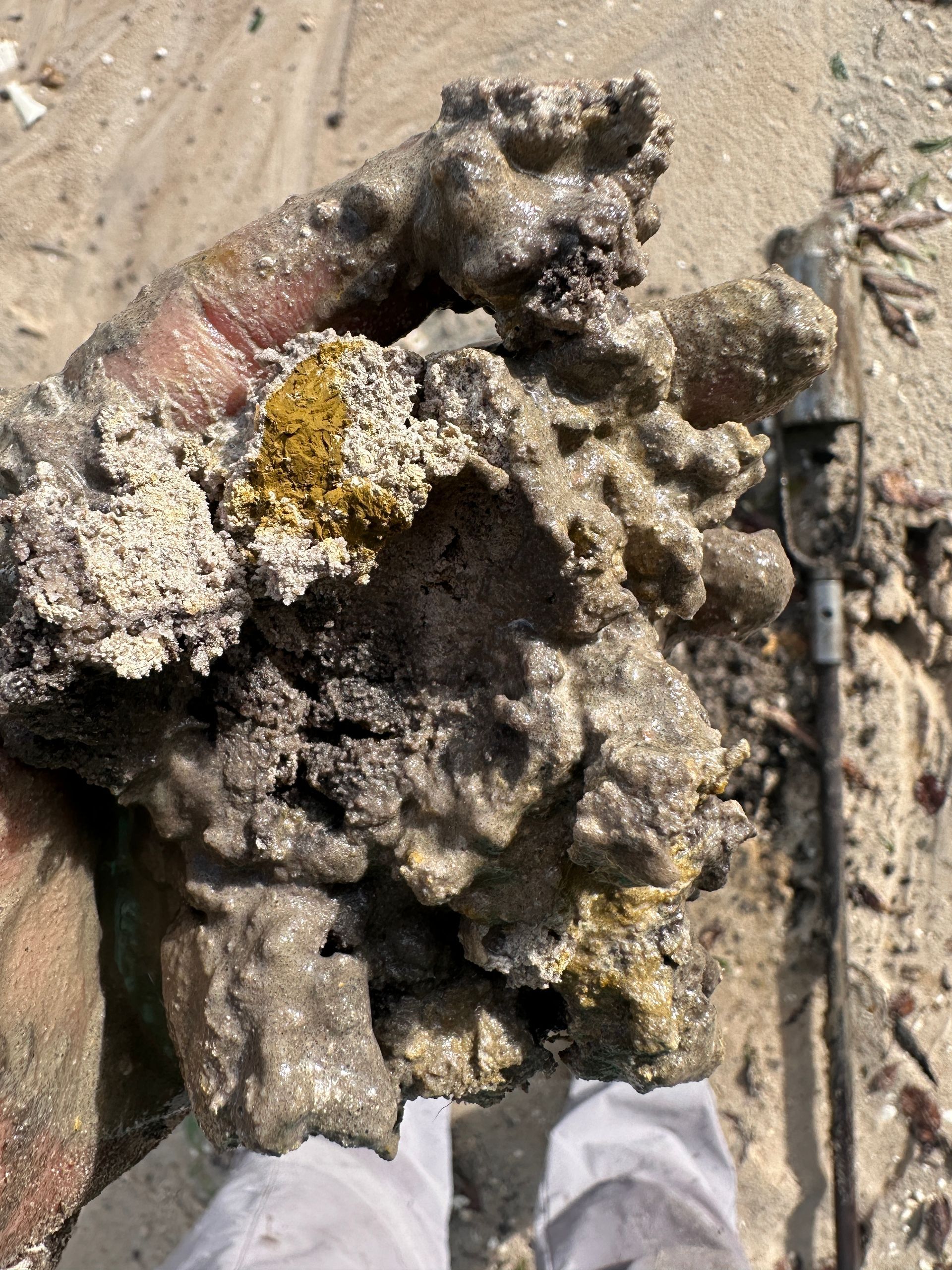 A person is holding a pile of mud, soil and sand.