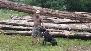 A man and a dog are standing next to a pile of logs.