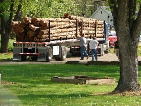 A truck full of logs is parked in a grassy area