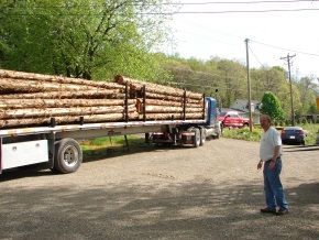 A man is standing next to a semi truck loaded with logs.
