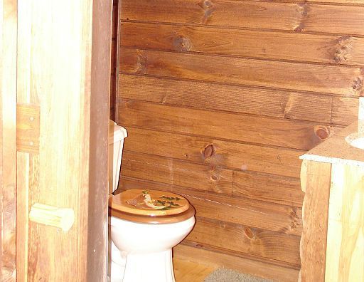 A toilet in a bathroom with a wooden wall