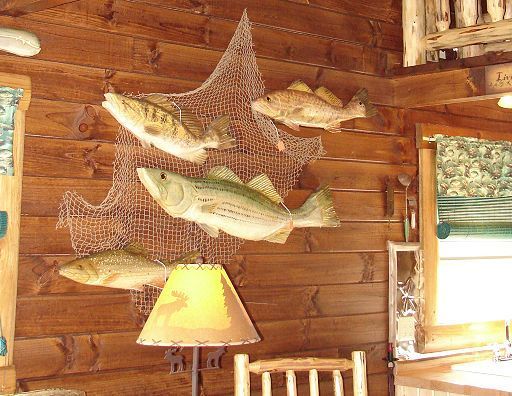 A group of fish are hanging on a fishing net on a wooden wall.
