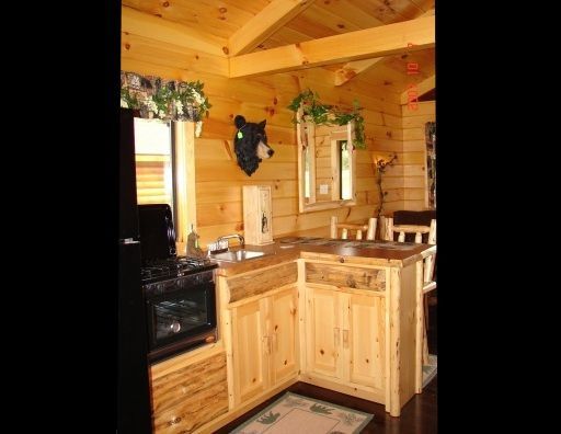A kitchen in a log cabin with a bear head on the wall.