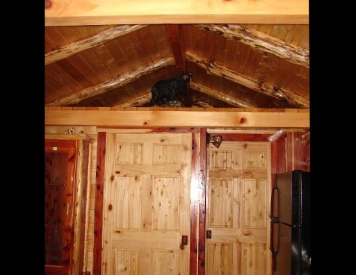 A cat is sitting on the ceiling of a wooden cabin.
