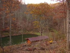 A small cabin in the middle of a forest next to a lake.