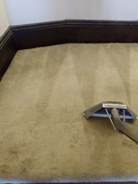 Person Cleaning Carpet With Vacuum Cleaner — Bristol, VA — Carpet Care-O-Van of Abingdon