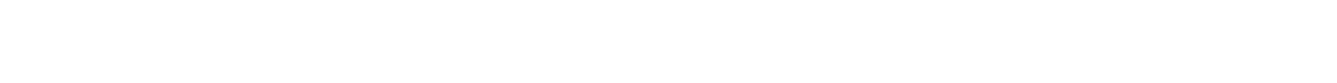 White horizontal bar on a black background with a small gray shape at the left end