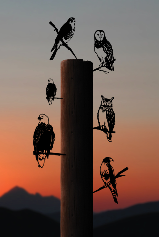 Metalbird outdoor Bird Art 