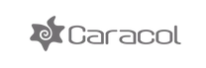 Caracol Logo