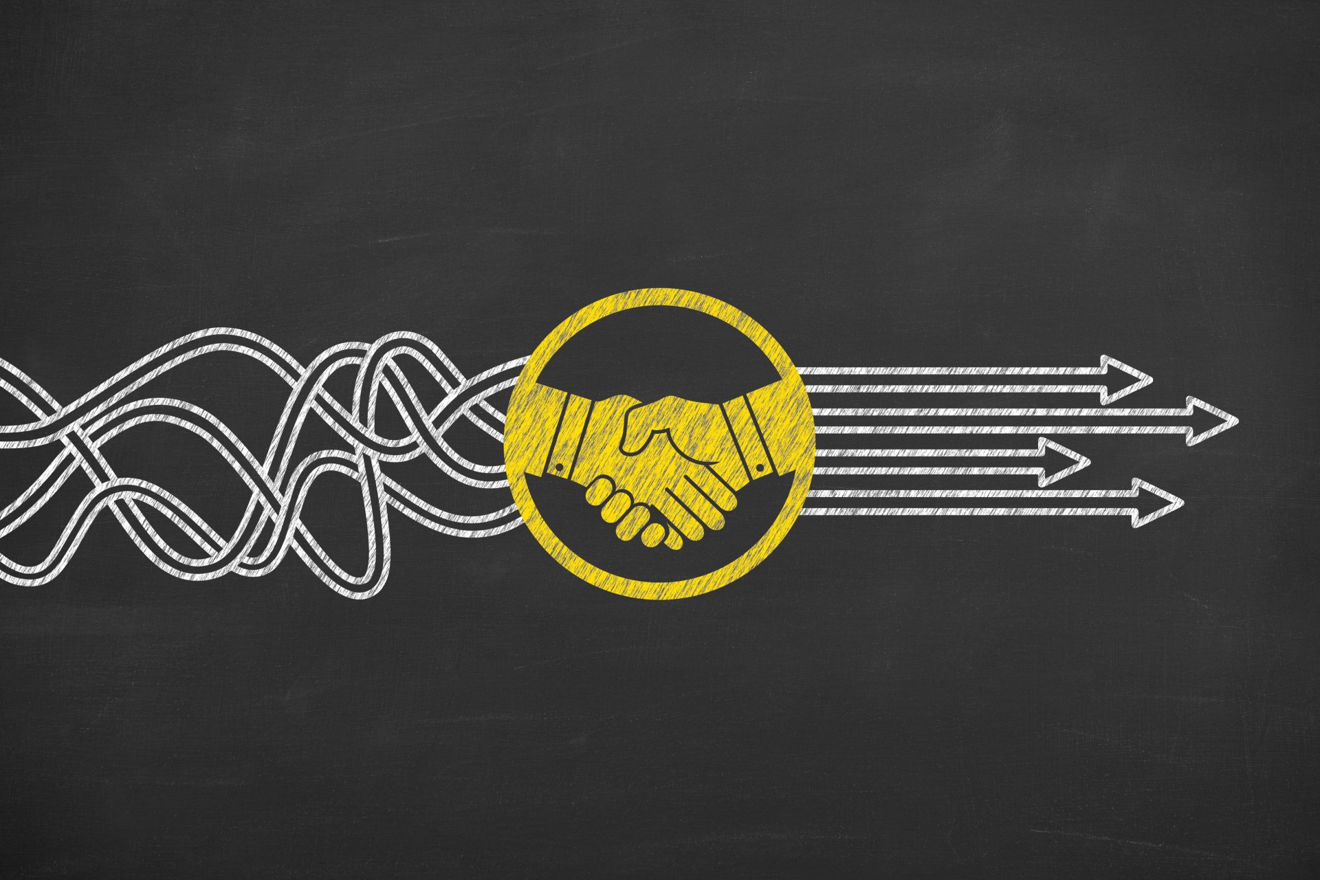 Lotus Management Inc