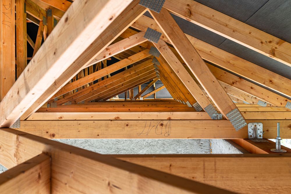 Wooden Roof Trusses With Metal Connectors, Viewed From Below — Brayden Stewart Building In Forster, NSW