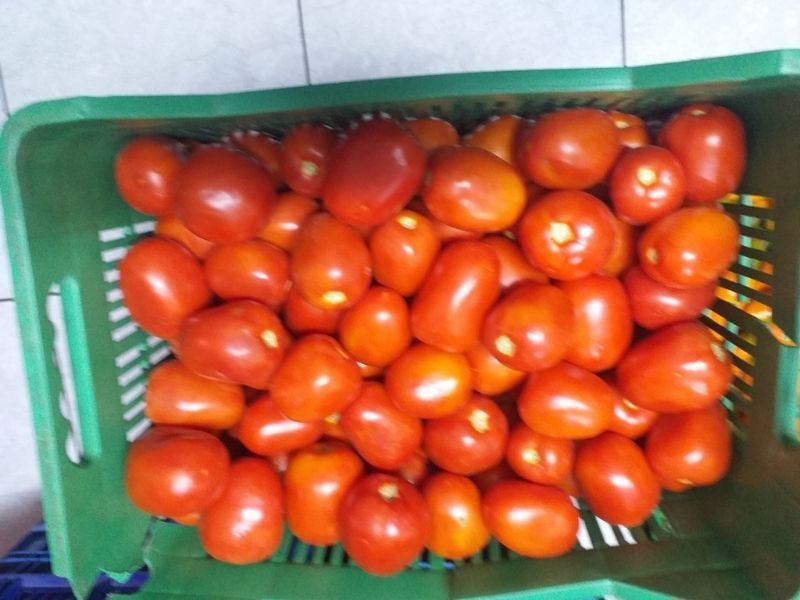 frutas y verduras