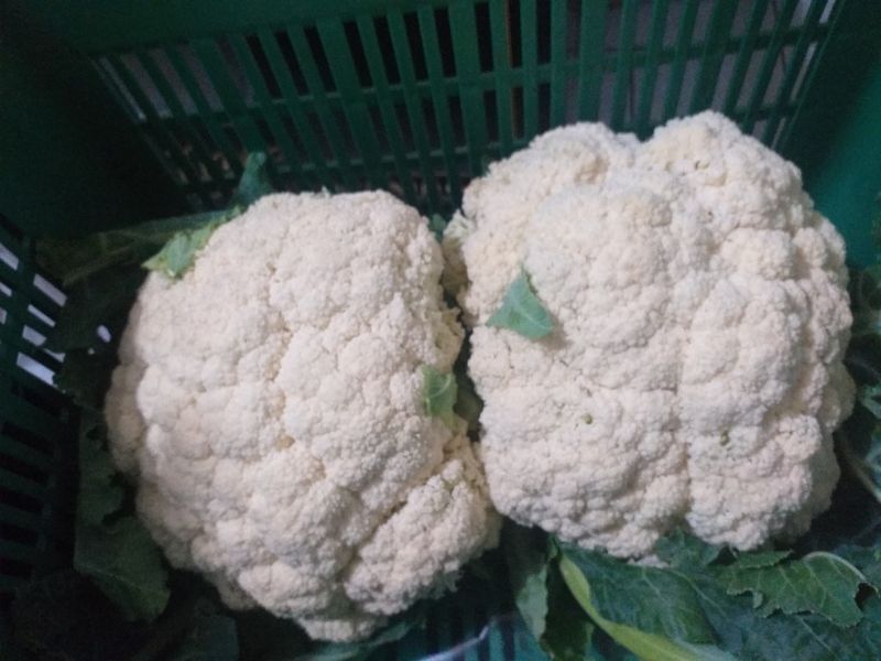 frutas y verduras