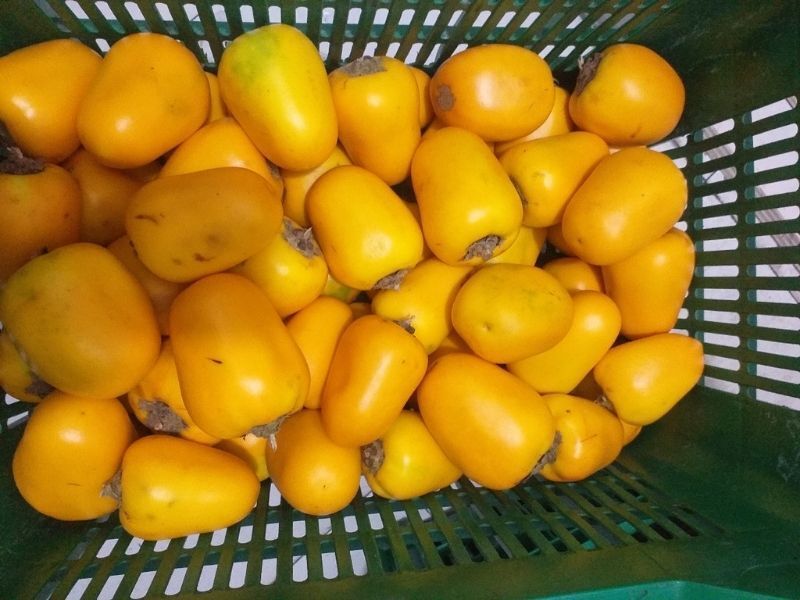 frutas y verduras