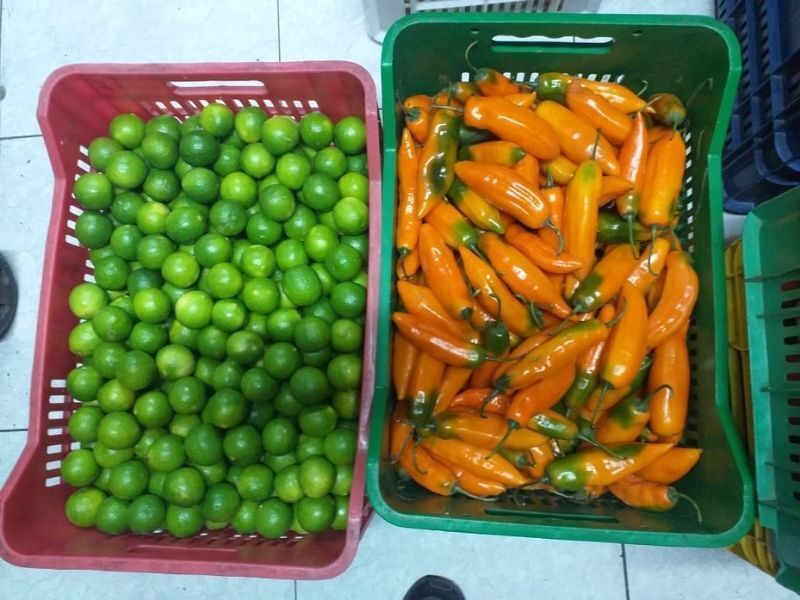 frutas y verduras