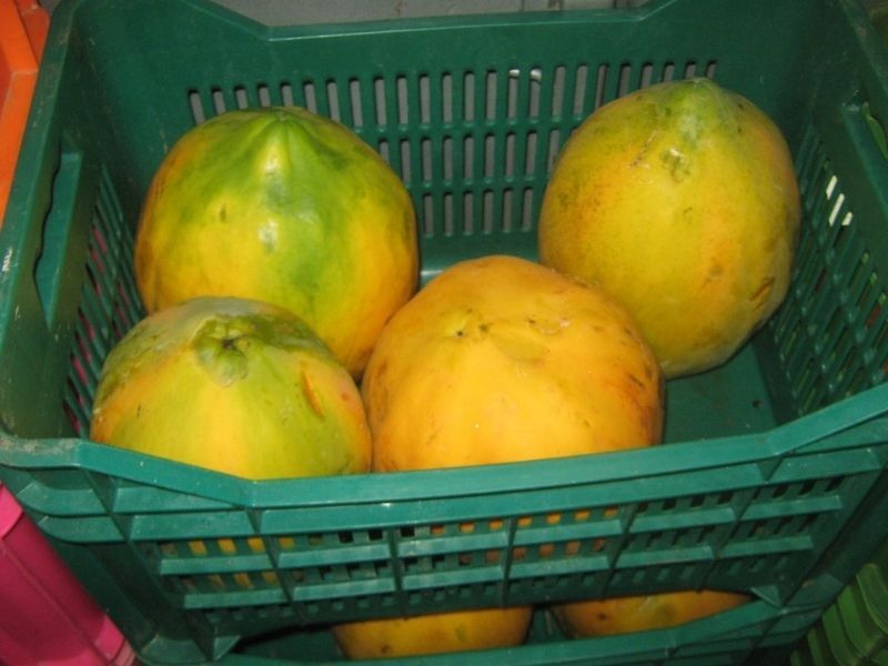 frutas y verduras