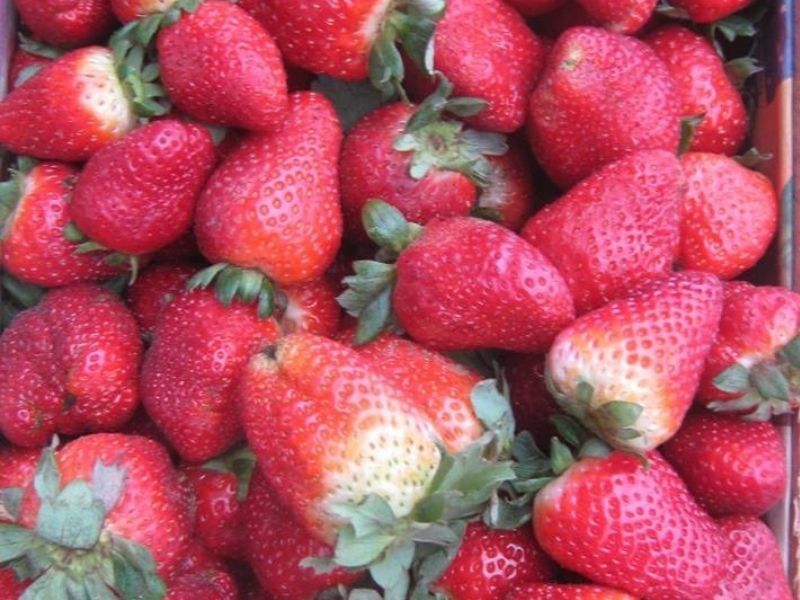 frutas y verduras