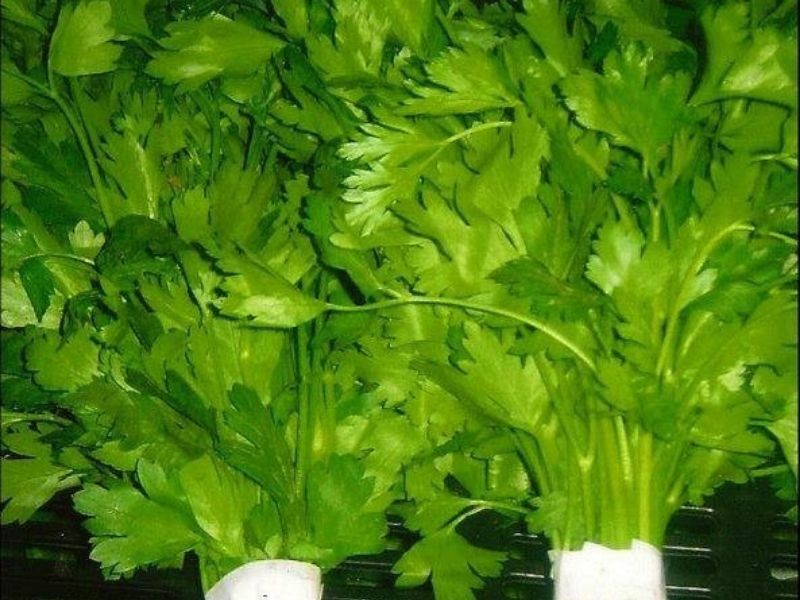 frutas y verduras
