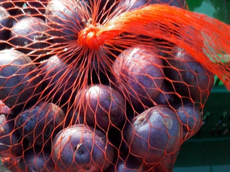 frutas y verduras