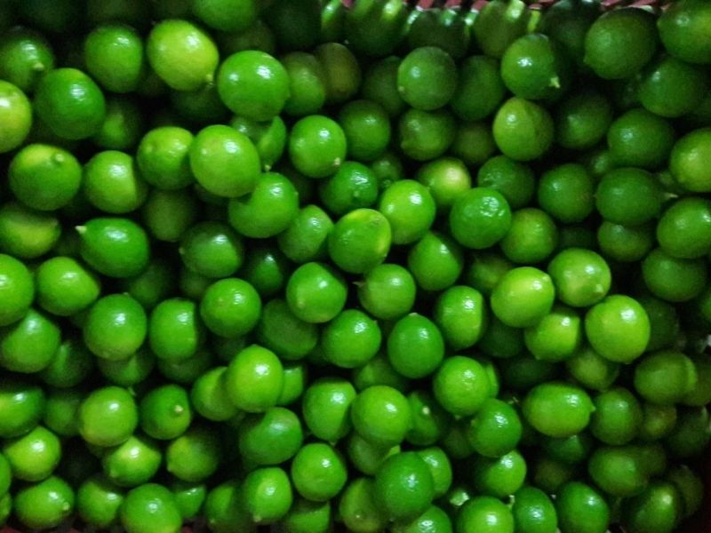 frutas y verduras