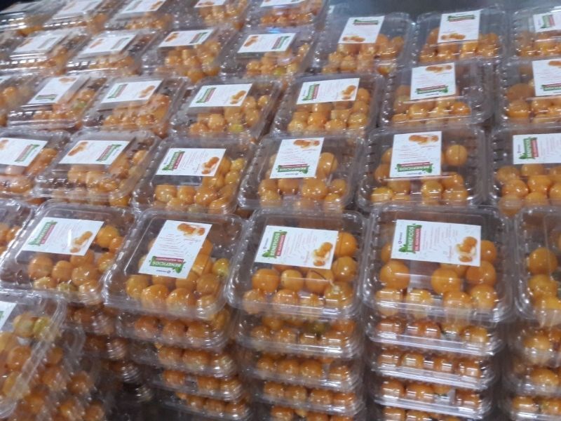 frutas y verduras