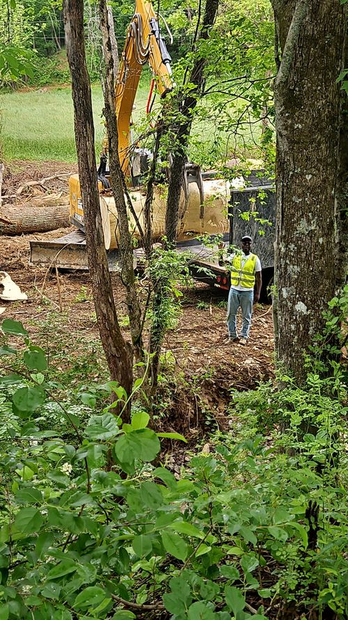 A worker in safety gear cuts a tree limb while positioned in the yellow bucket of an aerial lift.