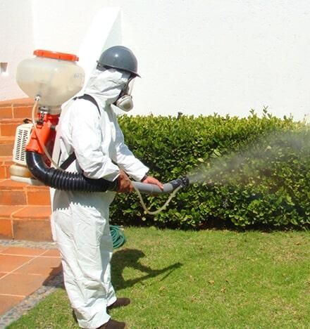 Fumigaciones Puebla Fumigaciones Puebla