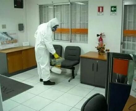 Fumigaciones Puebla