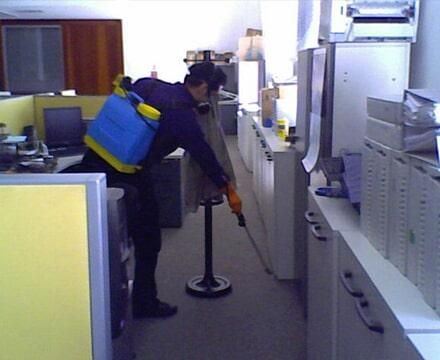 Fumigaciones Puebla