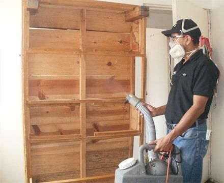 Fumigaciones Puebla