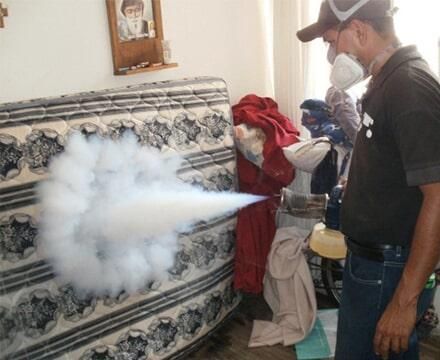 Fumigaciones Puebla