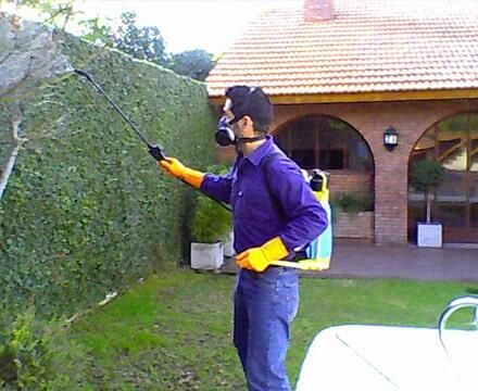 Fumigaciones Puebla