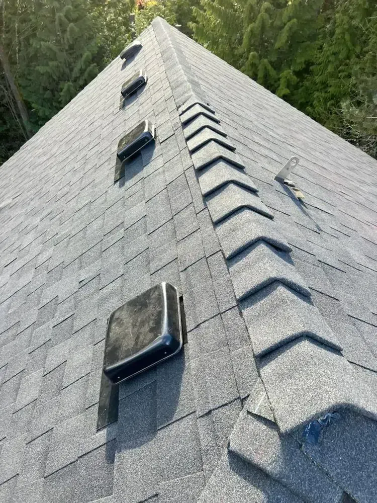 Steep gray shingled roof with mounted climbing steps, viewed upward against trees
