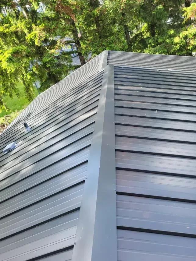 Close-up of gray metal roof panels under green tree branches in daylight