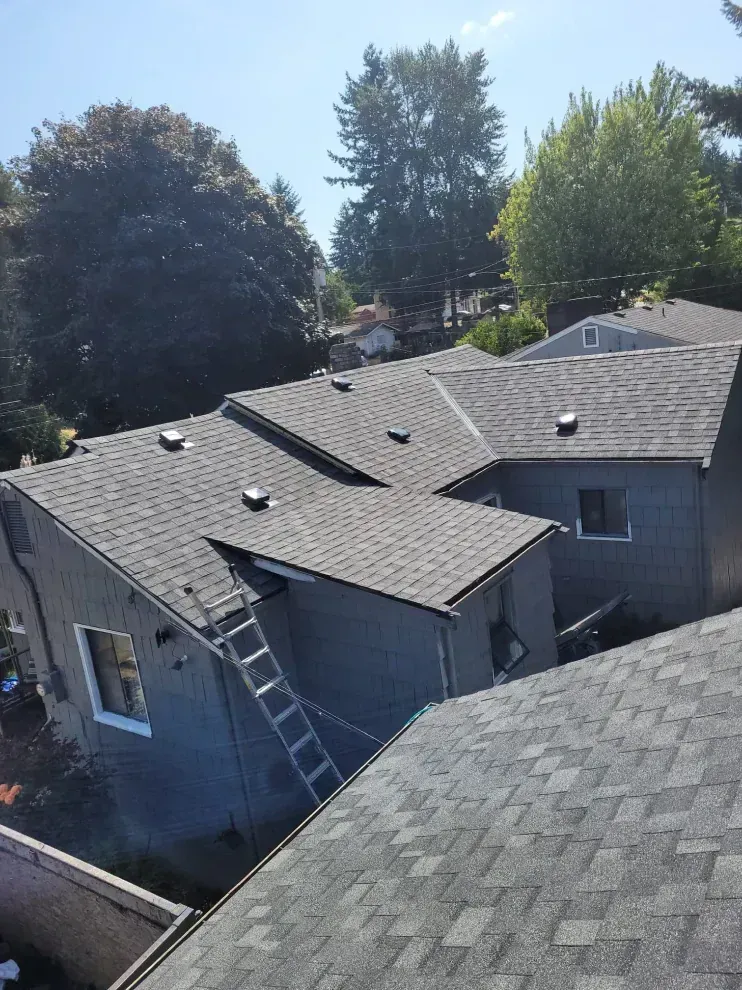 Rooftop view of a gray-shingled house with a ladder leaning against it and trees in the background