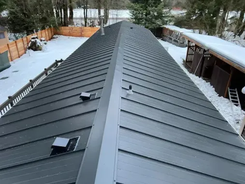 Snow-covered black metal roof with skylights, viewed from the ridge in a wooded residential area
