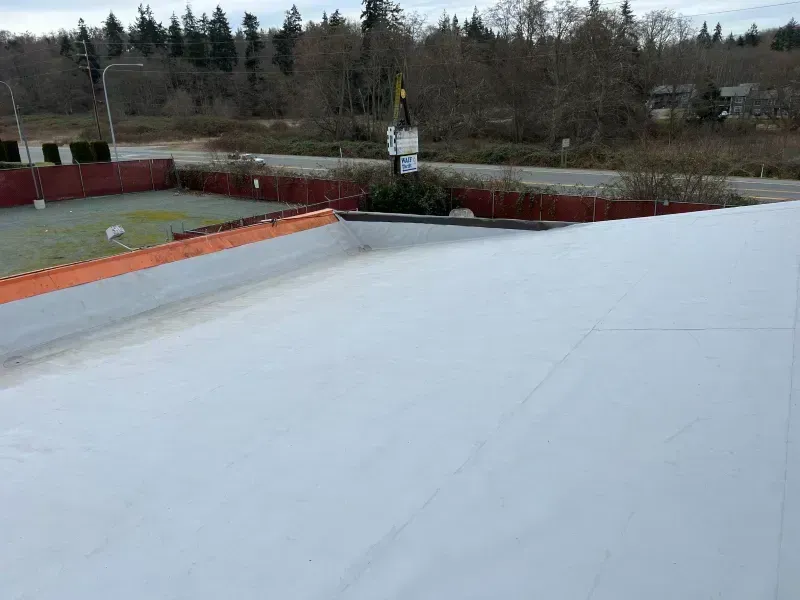 Snow-covered rooftop with a small figure on a distant tower, trees and a court in the background
