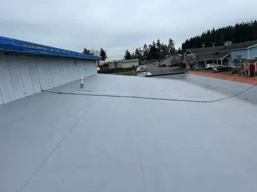 Flat gray roof with a blue edge, overlooking a neighborhood under cloudy skies.