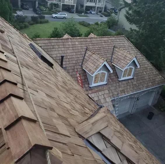 Steep tan shingle roof with dormers, viewed from above, beside a suburban driveway and street.
