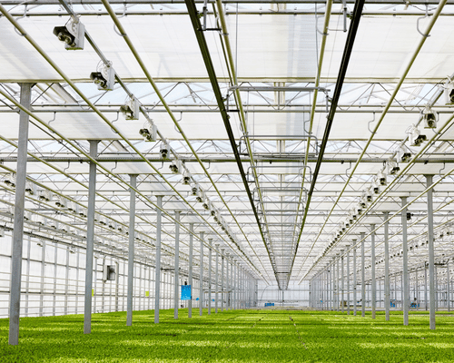 steel building construction with custom features