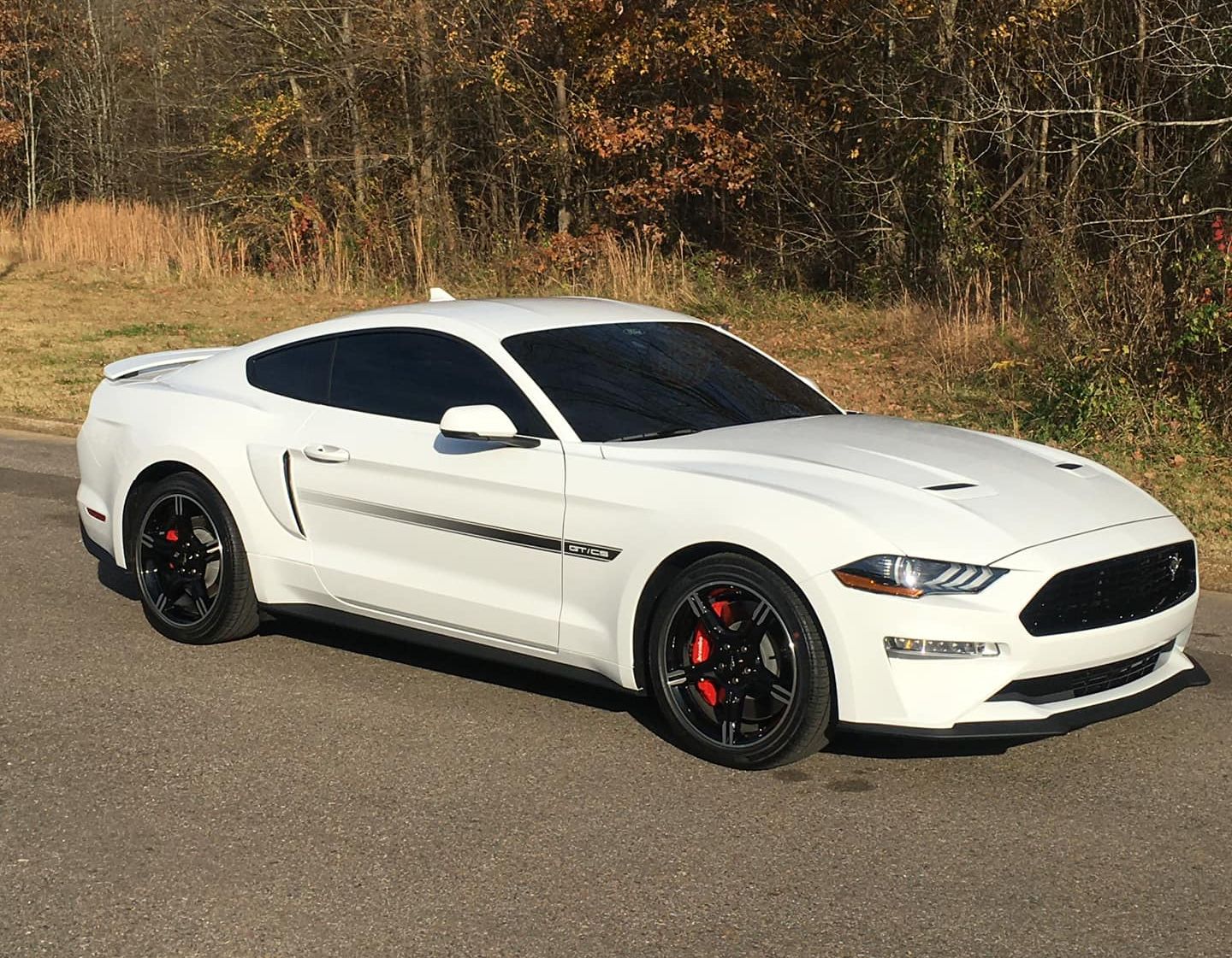 White sports coupe parked on a road beside trees and dry grass, with black wheels and red brake calipers