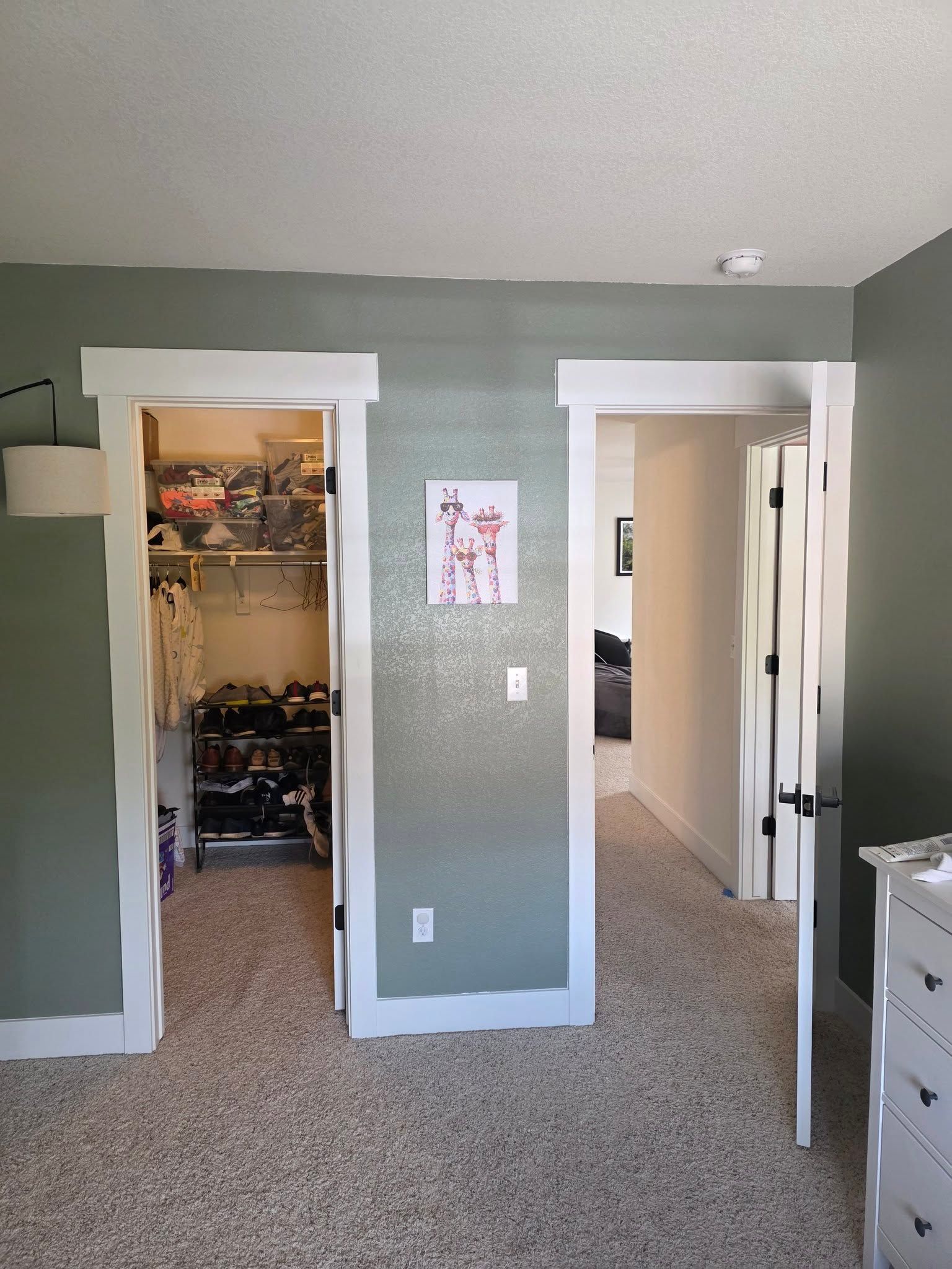 Bedroom with green walls, carpeted floor, and two open doorways to a closet and hallway.