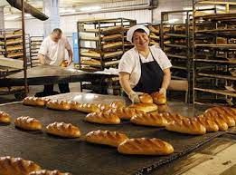 Bakery workers shaping loaves on large trays in a bread production room