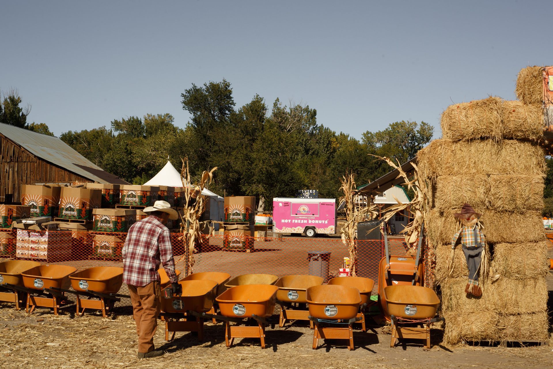 Pumpkins on hay