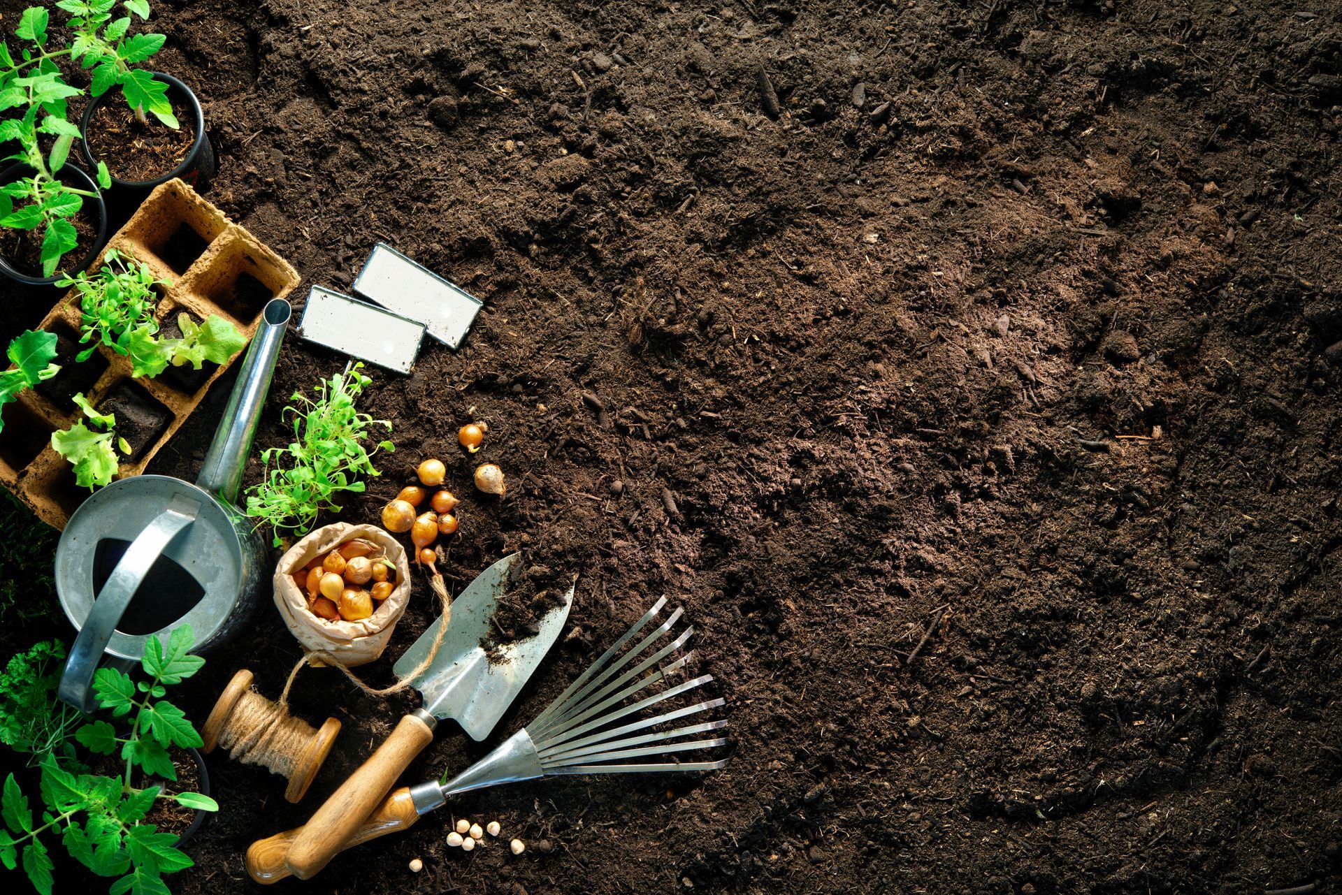 Top view of many gardening materials and plants on top of soil.