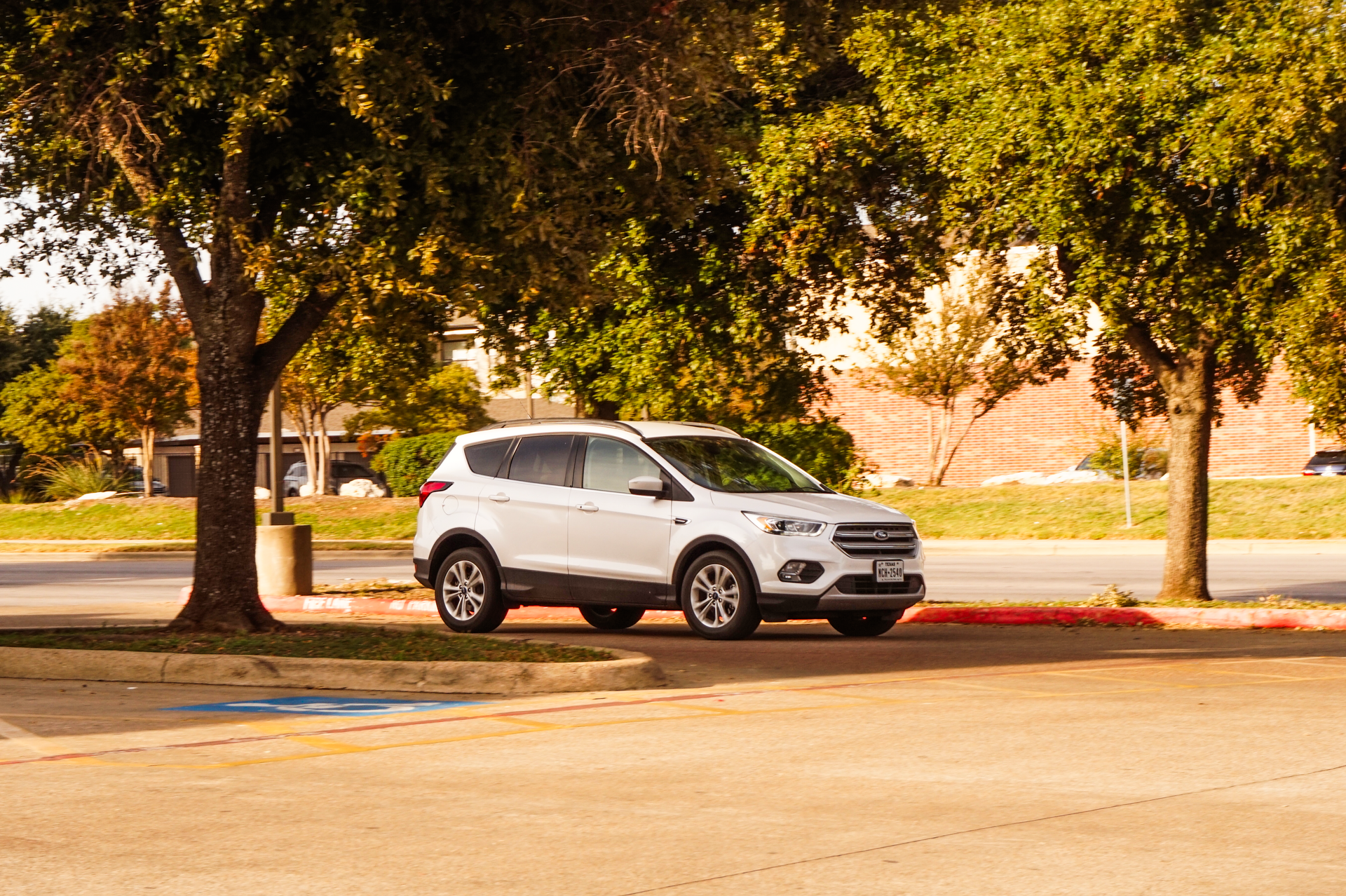 Squeaky brakes could mean many things, bring it to our experts to figure things out