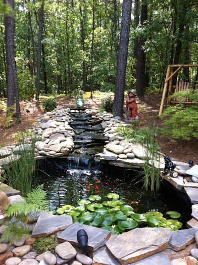 There is a pond with a waterfall in the middle of the woods.