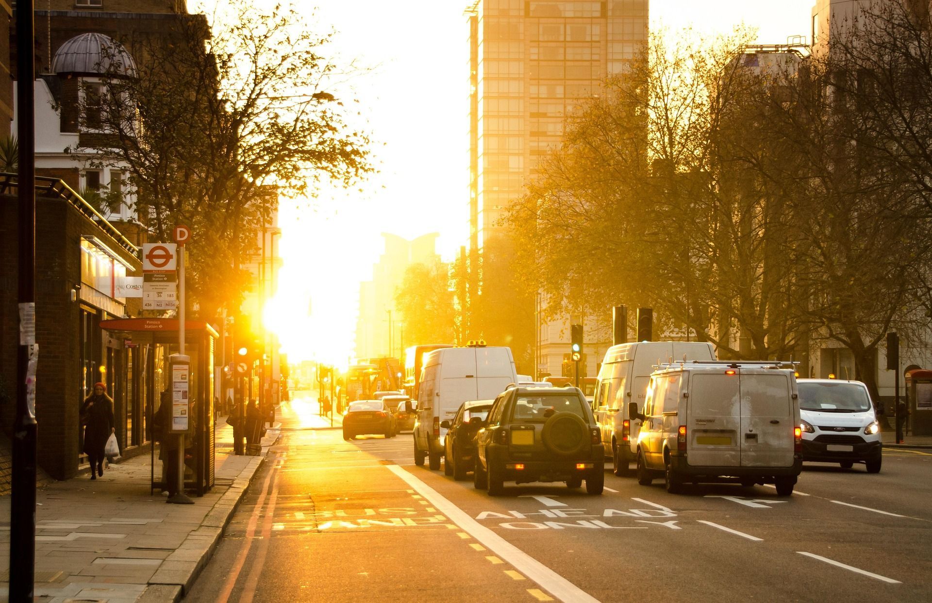 Sunlit city street with cars and vans at sunset, trees lining the road and tall buildings in the background